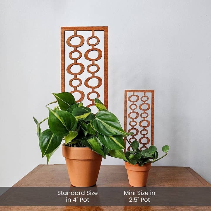 Leaf & Node - Wholesale Trellis - Indoor Houseplant Trellis - MCM Bubble (Wood)