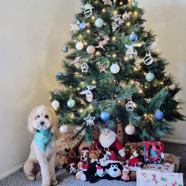 Zala and Friends - Wholesale Pet bandana – Dog - LAST SALE - Can't catch me! (CHRISTMAS EDITION): Bandana1