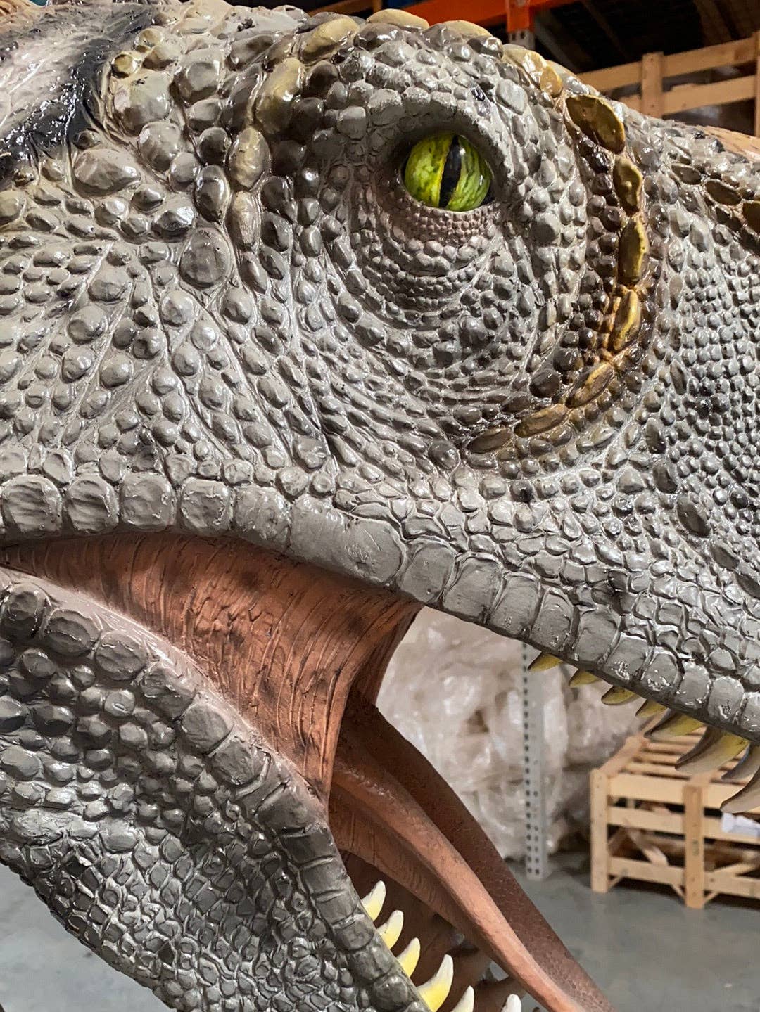 LM Treasures - Wholesale Figurine Toy - Kids - Australovenator Dinosaur Life Size Statue19