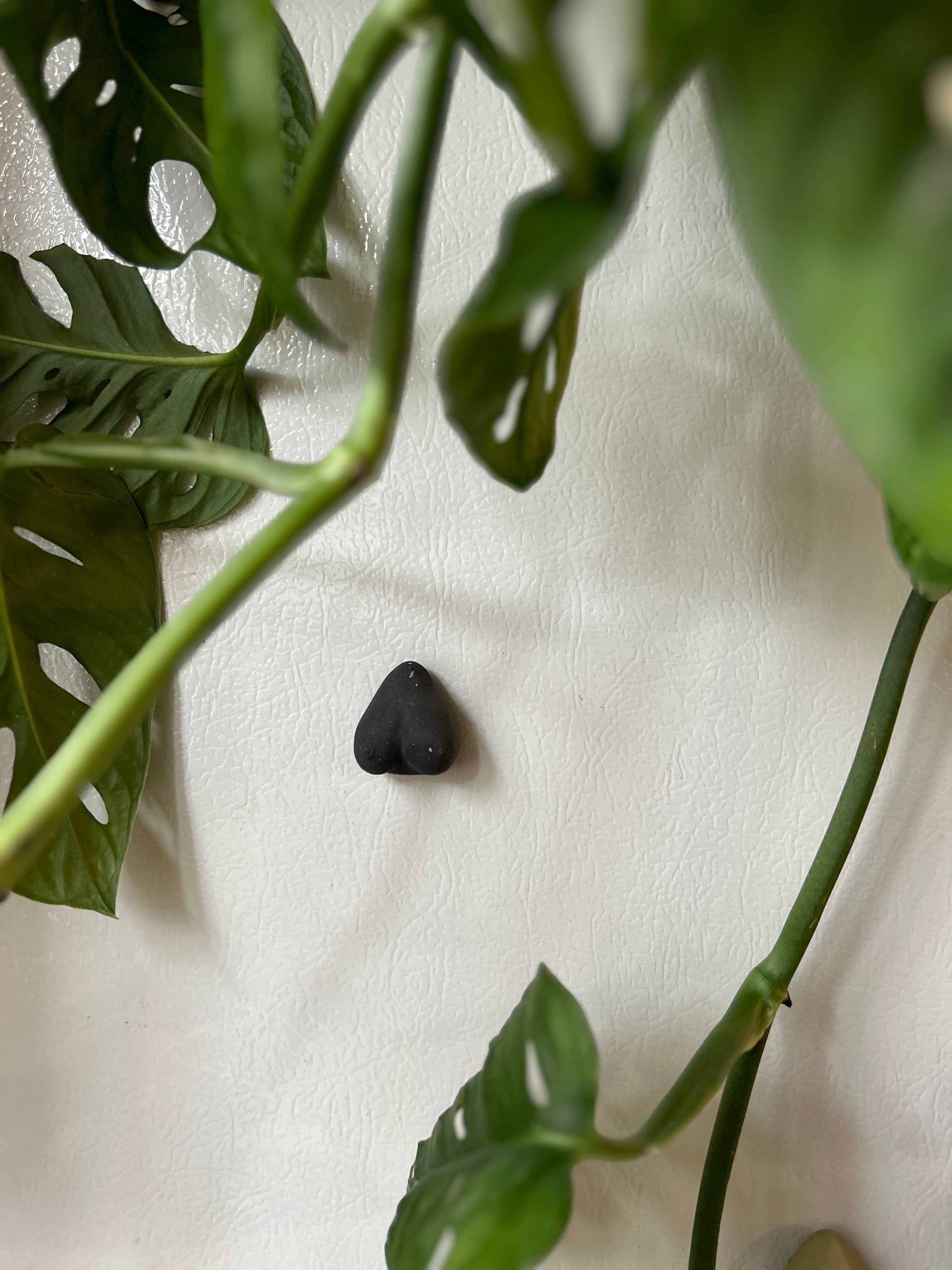 Queen City Crete - Vendita all'ingrosso Calamite - Magneti Boob 0