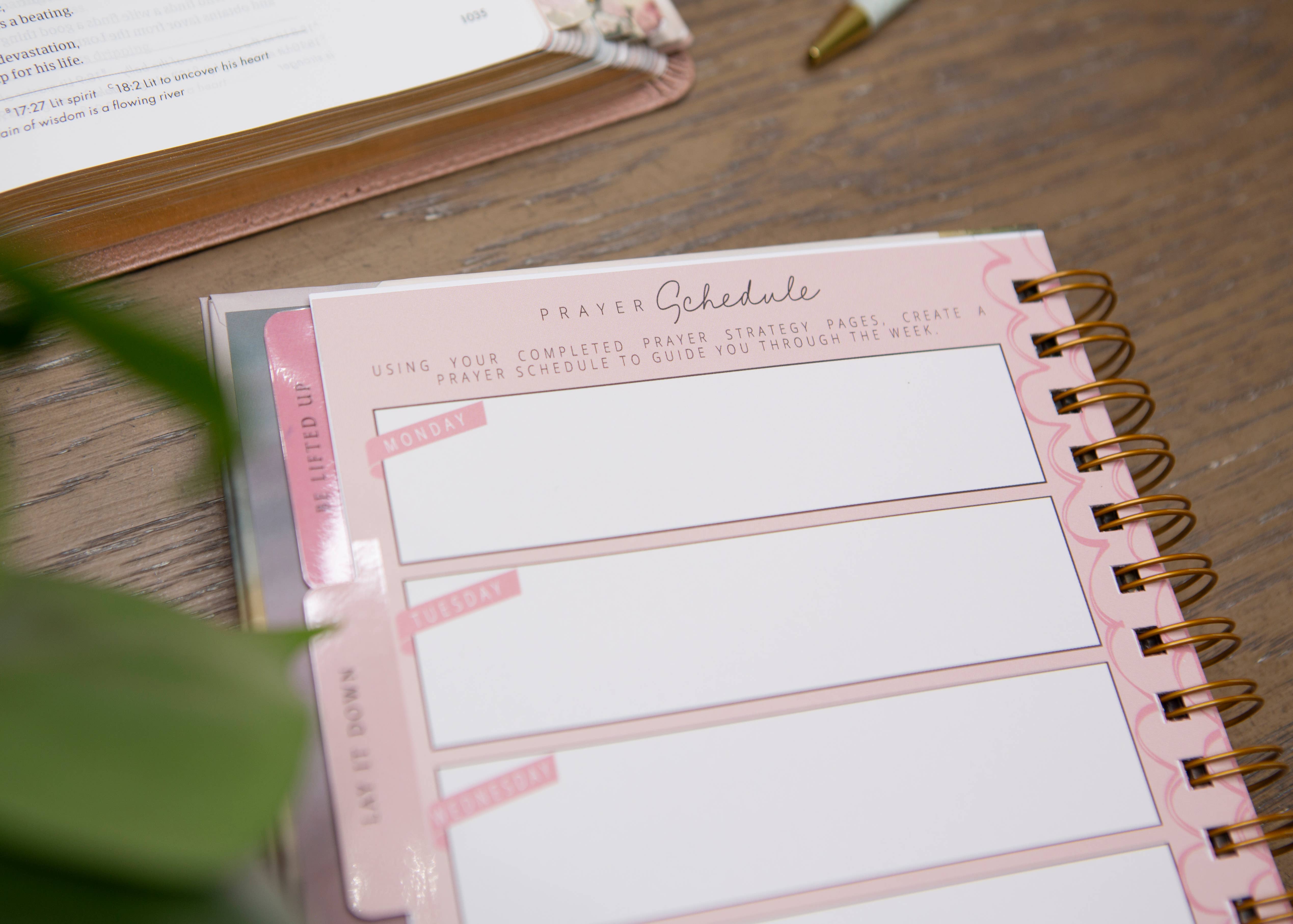 Chosen & Cherished - Wholesale Journal/Diary - New Mercies Prayer Journal for Women4