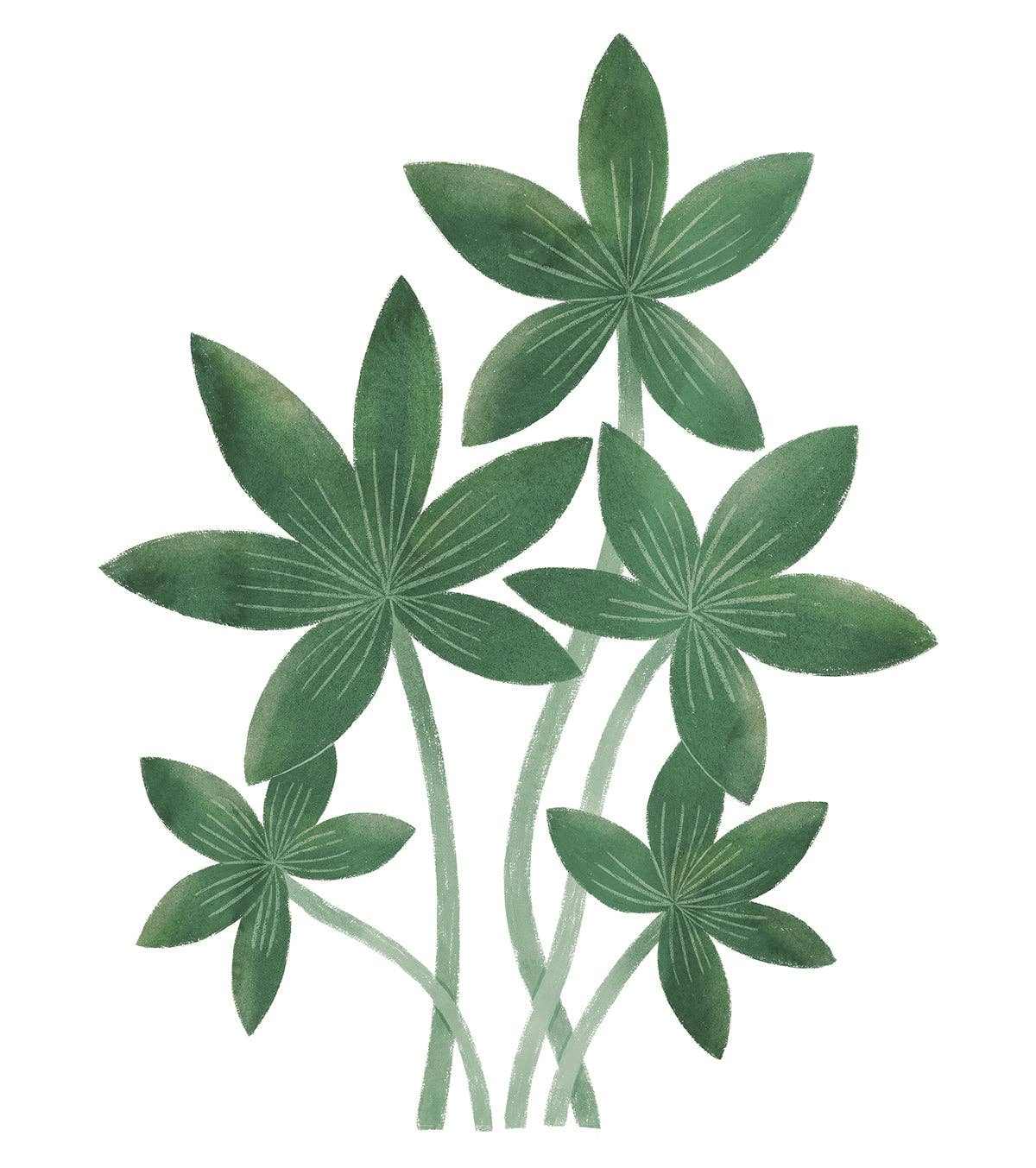 LILIPINSO - Venta al por mayor Pegatina - YATSUNI - Adhesivos de pared - Vegetations tropicales (S1565)0