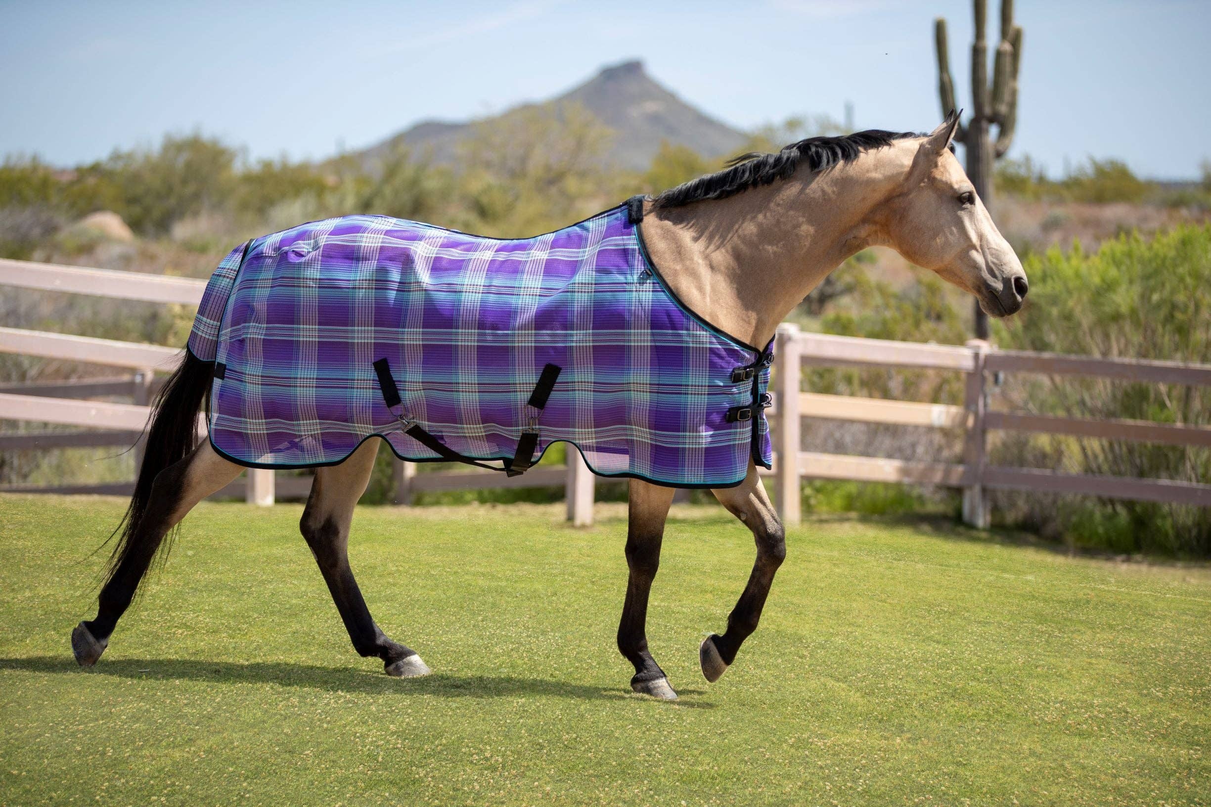Kensington - Wholesale Horseback Riding Gear - 73% UV Horse Protective Fly Sheet SureFit® Designed for an ideal Fit6