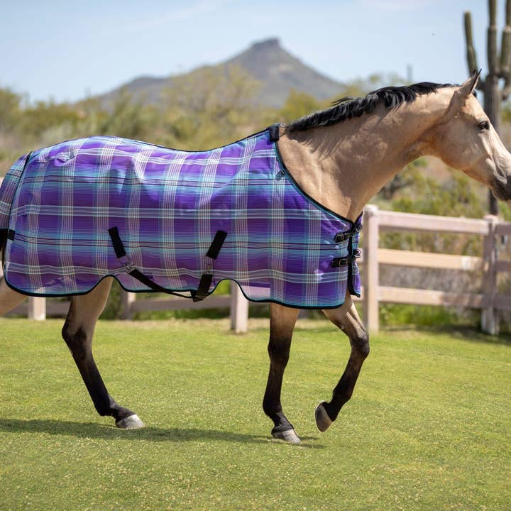 Kensington - Wholesale Horseback Riding Gear - 73% UV Horse Protective Fly Sheet SureFit® Designed for an ideal Fit6