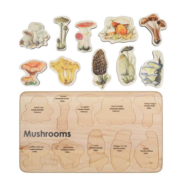 Mirus Toys – wholesale Puzzle – Child – Mushroom Puzzle1