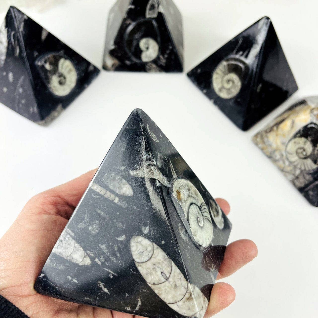 Rock Paradise – wholesale Decorative tabletop object – Ammonite and Orthoceras Fossil Pyramid7