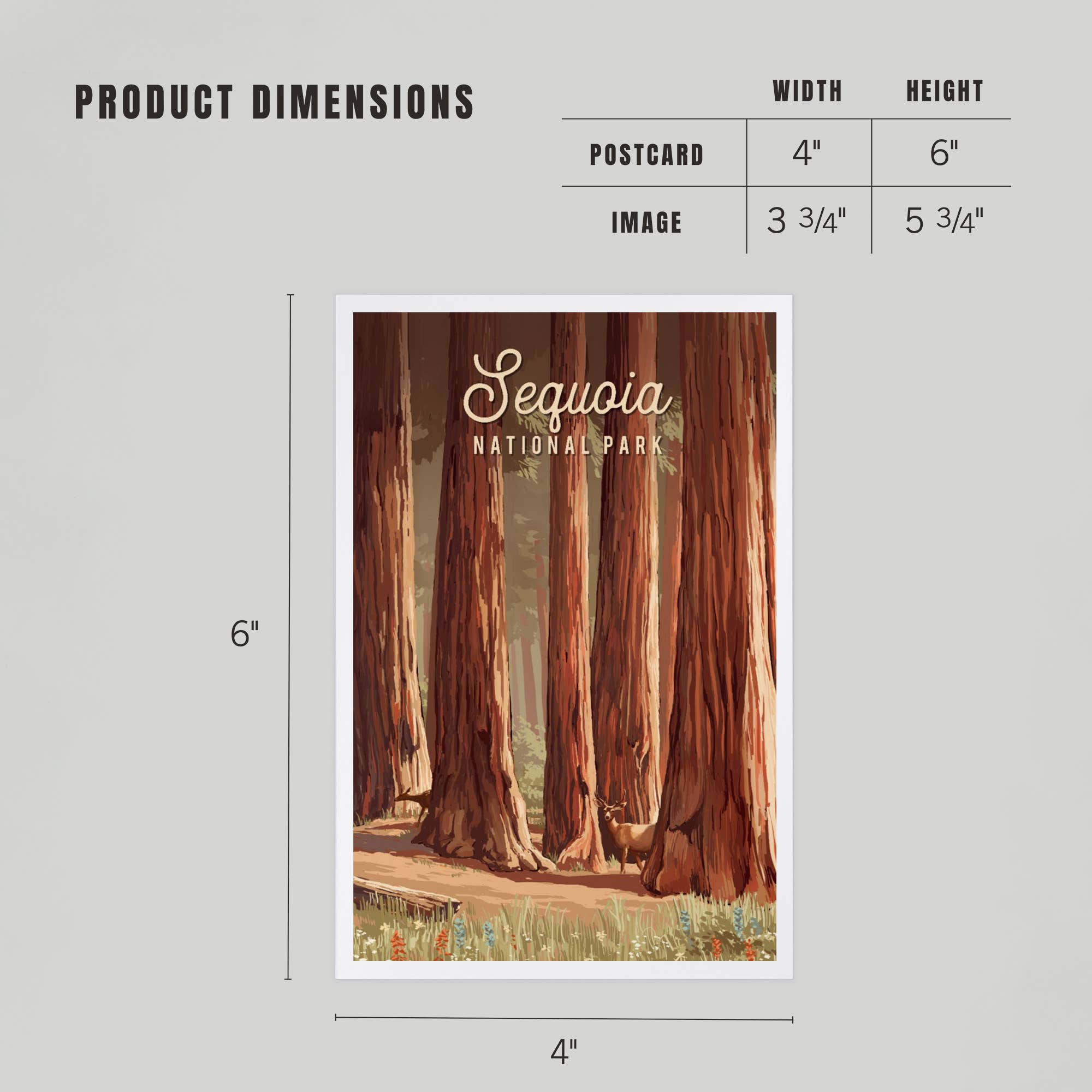 Lantern Press - Vendita all'ingrosso Cartoline - CARTOLINE PREMIUM Sequoia National Park, California4