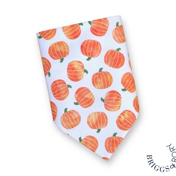 Watercolor Pumpkin Dog Bandana for wholesale by Briggs & Rory