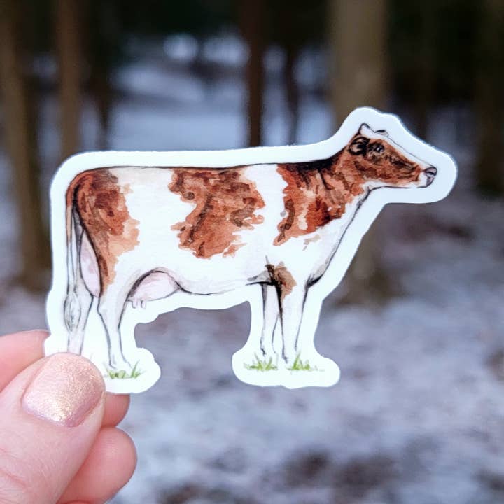 Ayrshire bruine en witte koe vinylsticker voor wholesale door The Cranberry Finch