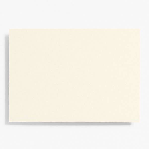 Paper Source Wholesale - Wholesale Stationery/Notecard Set - A7 Note Card Bulk Pack (100 pack)11