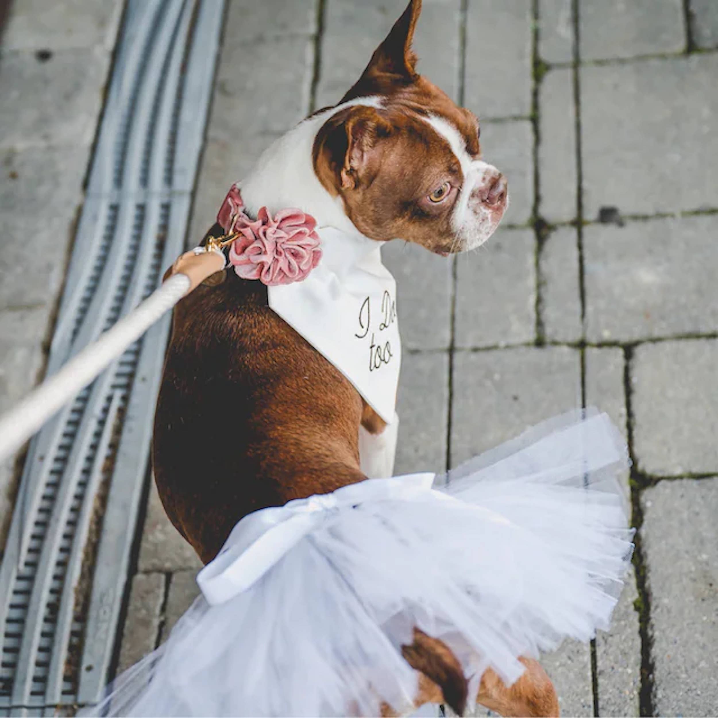 Tutu Joli LLC - Wholesale Pet Costume - Dog - White Bridal Dog Tutu Skirt- Dog Tutu in White | Dog Dress6