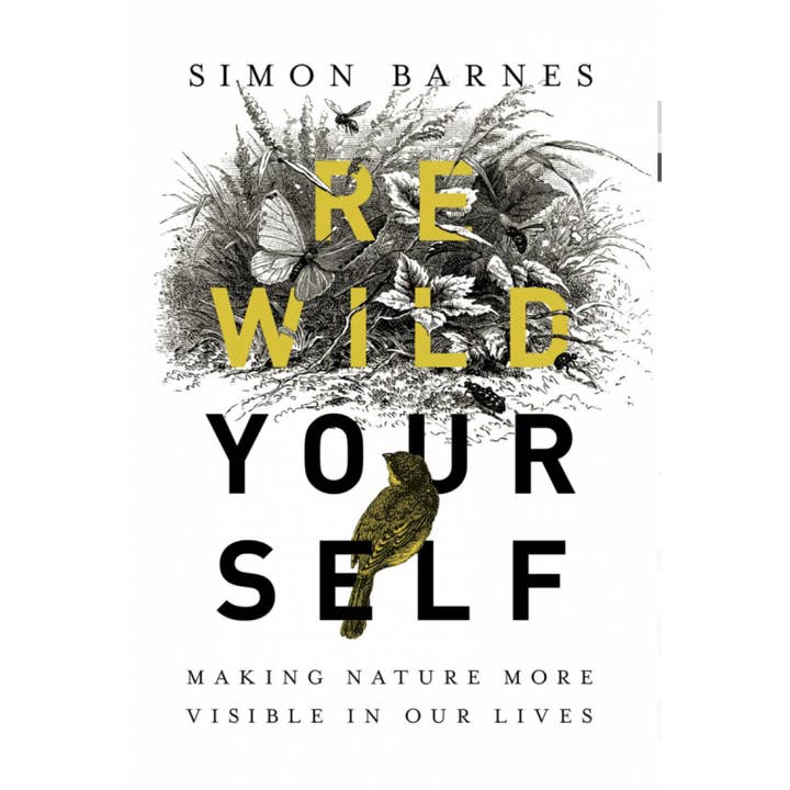 Herontdek Jezelf: Maak de Natuur Meer Zichtbaar in ons Leven voor wholesale door Microcosm Publishing & Distribution