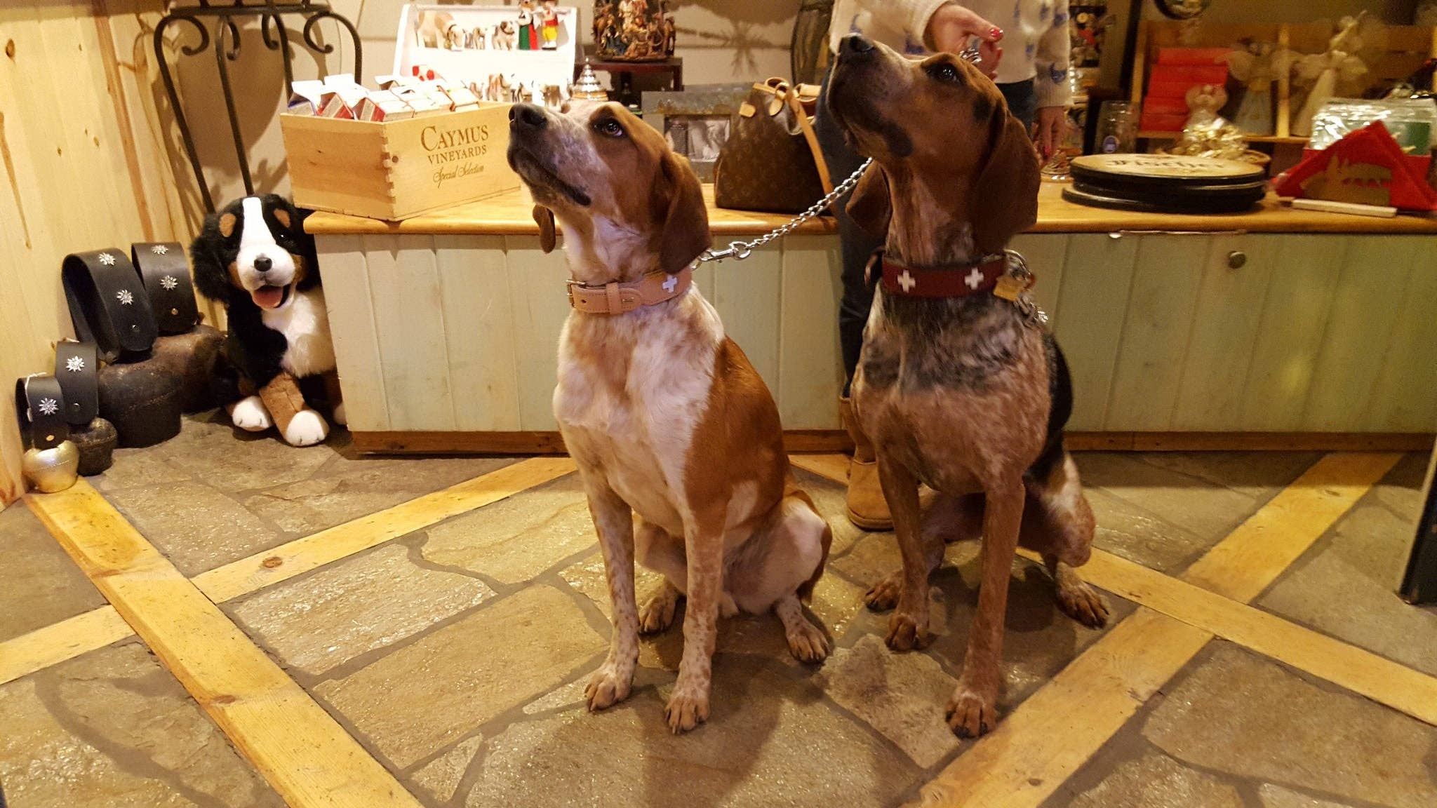 Alpen Schatz - Wholesale Pet Collar - Dog - Swiss Cross Collars12