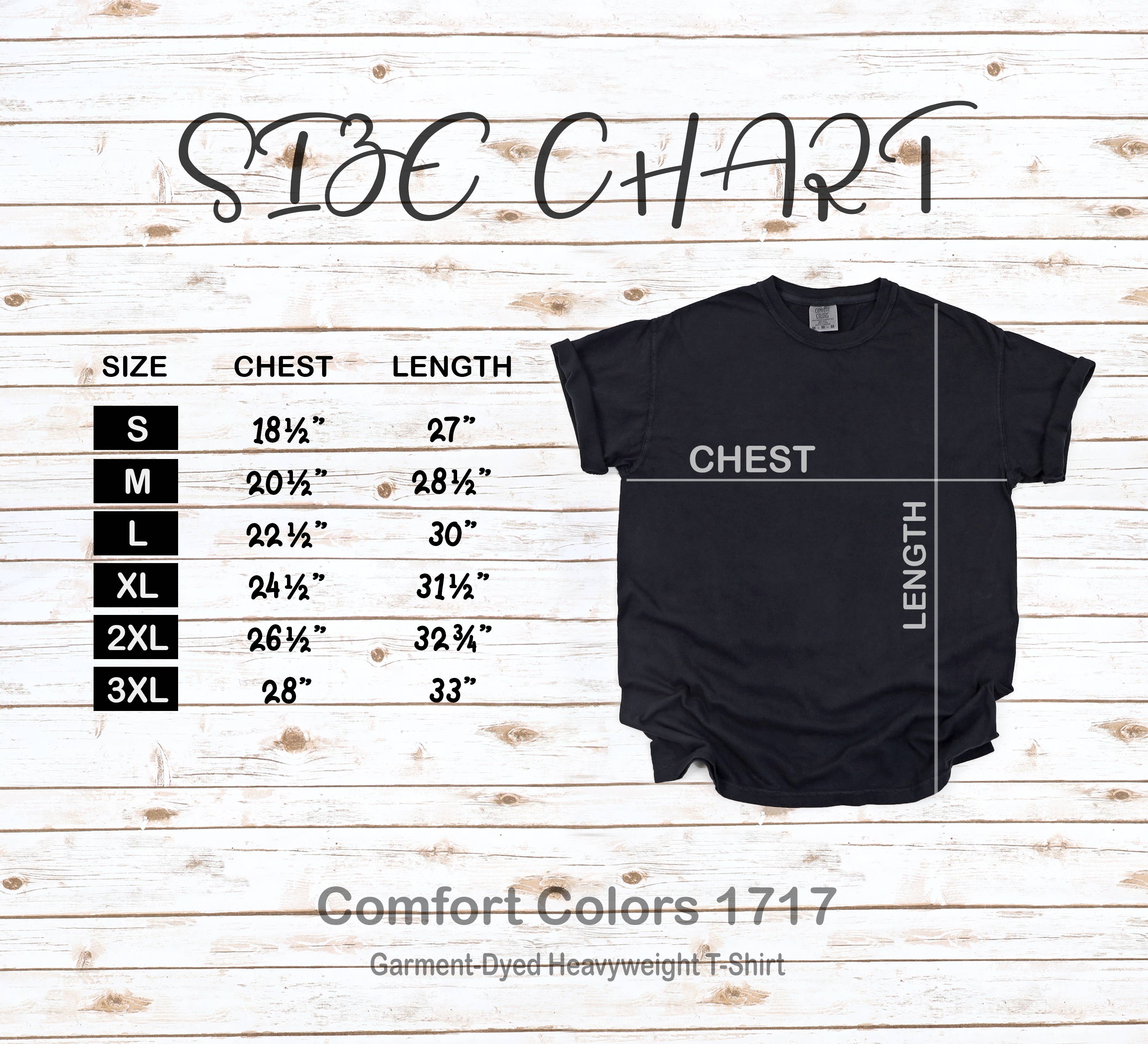 with love, aj. - Wholesale Screen Printed T-Shirt - Women's - Mental Health is Not a Dirty Secret Comfort Colors Tshirt2