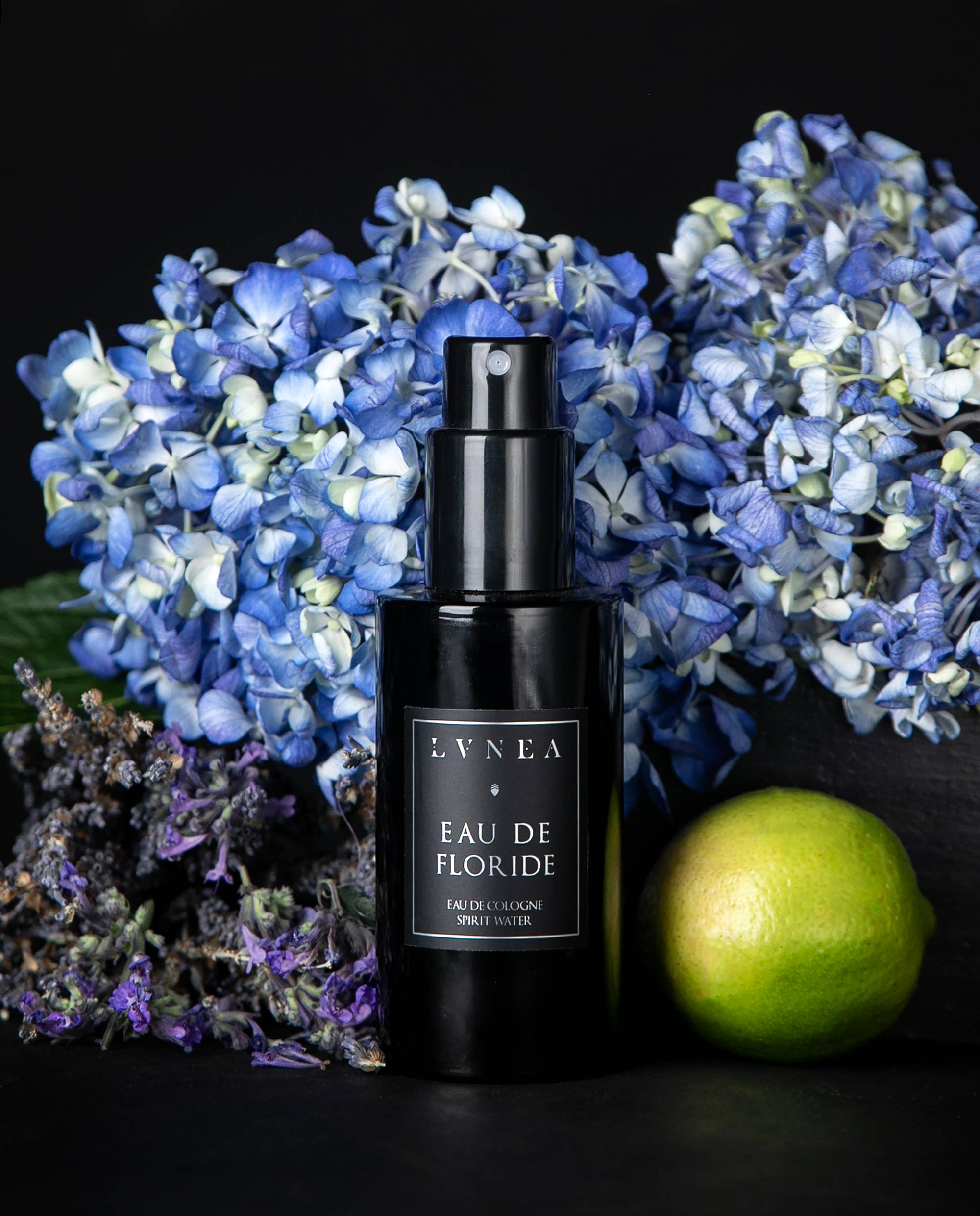 Lvnea Perfume - Wholesale Perfume/Eau de Toilette - EAU DE FLORIDE | 50ml - Eau de Cologne