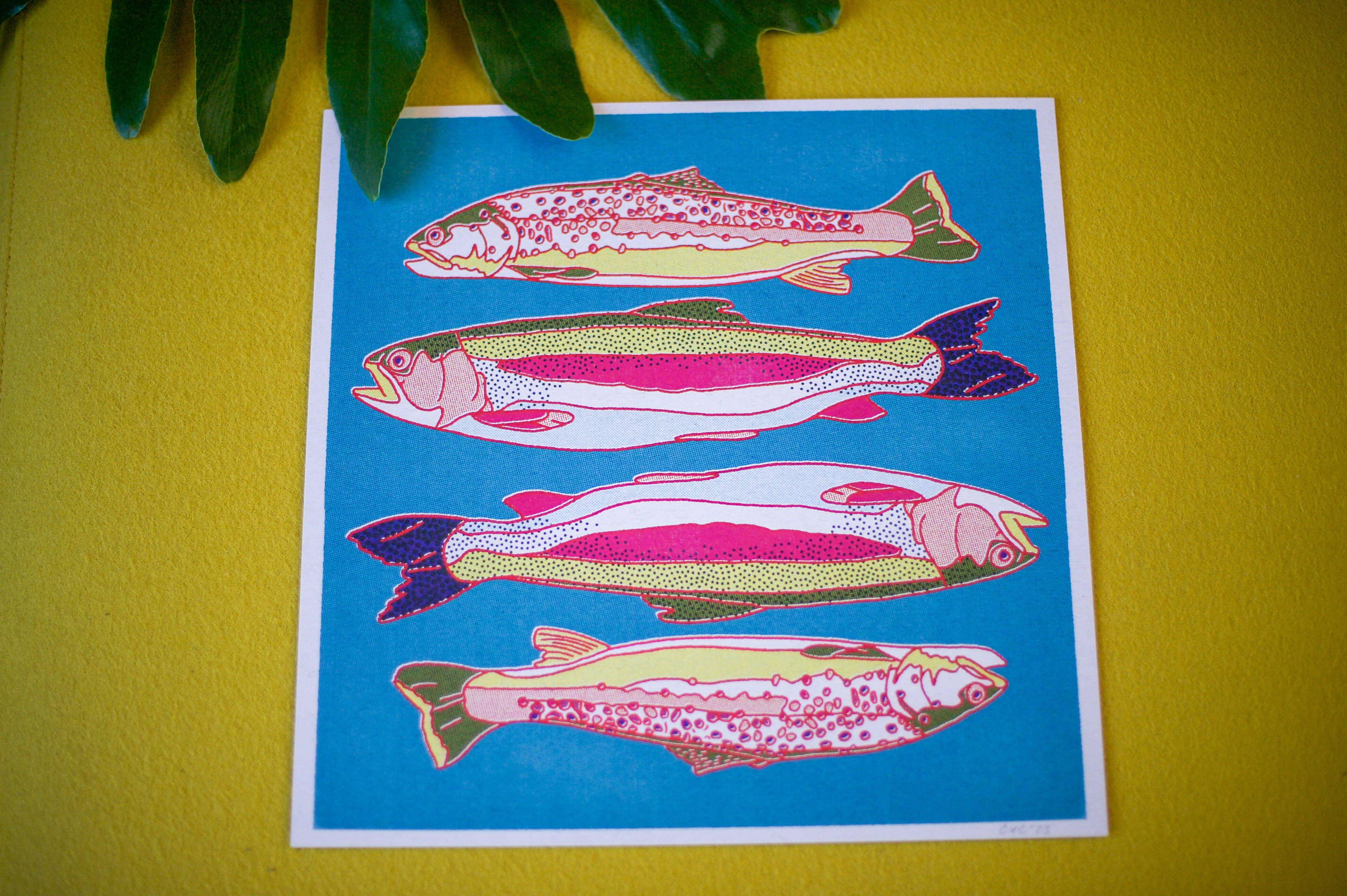 Caroline Clark – wholesale Art print – Trout Fish Art Print5