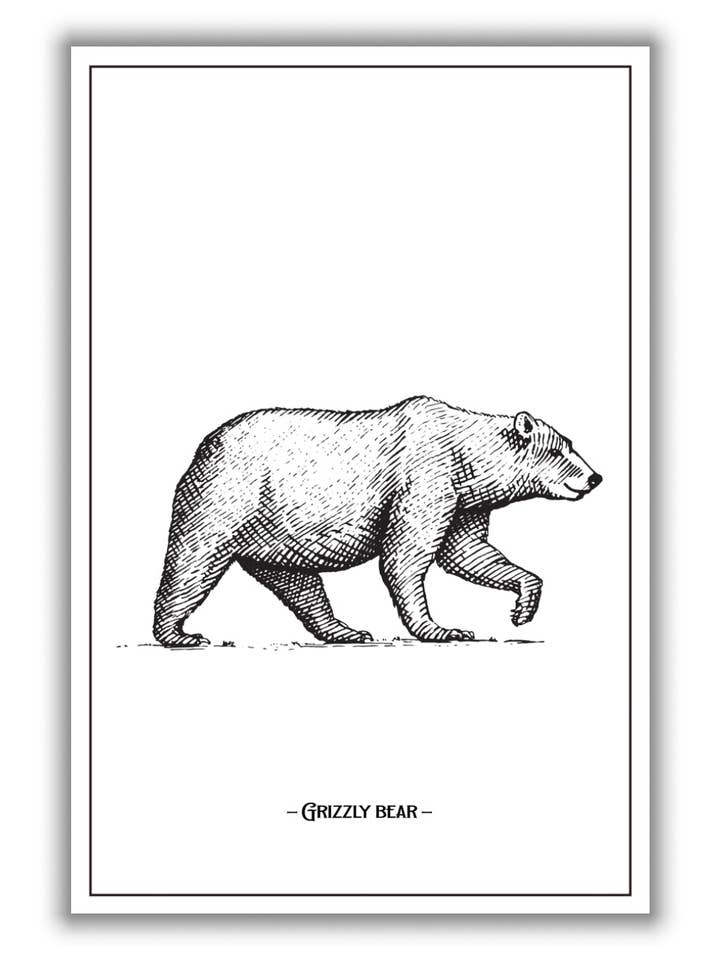 Grizzlybär für den Großhandel von Stanley Print House