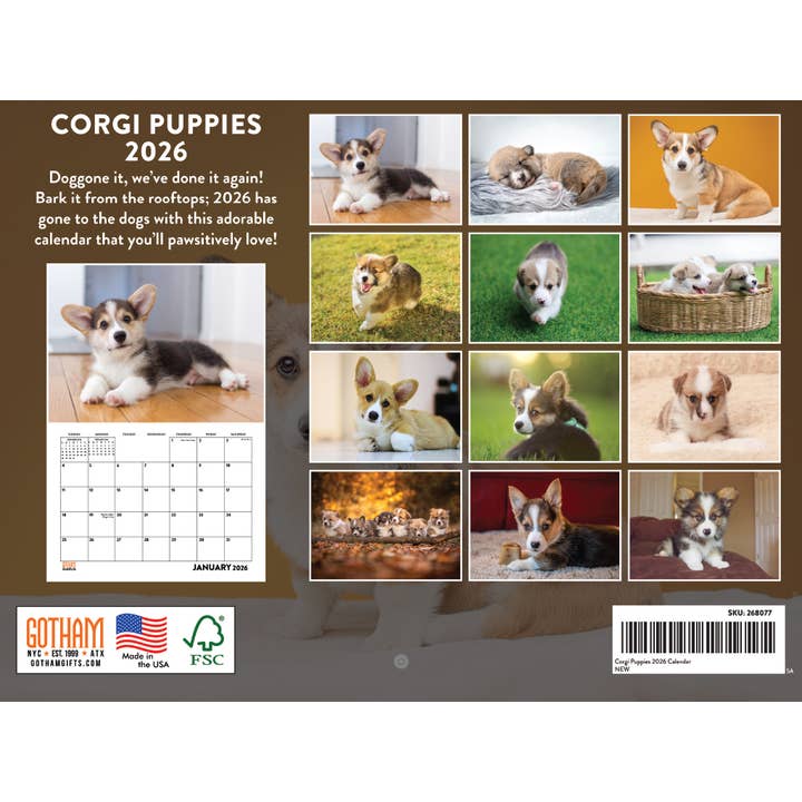 Multicolore Calendrier Mensuel Mural 2026 Chiots Corgi 12 Mois | Fabriqué aux États-Unis en vente sur Faire1