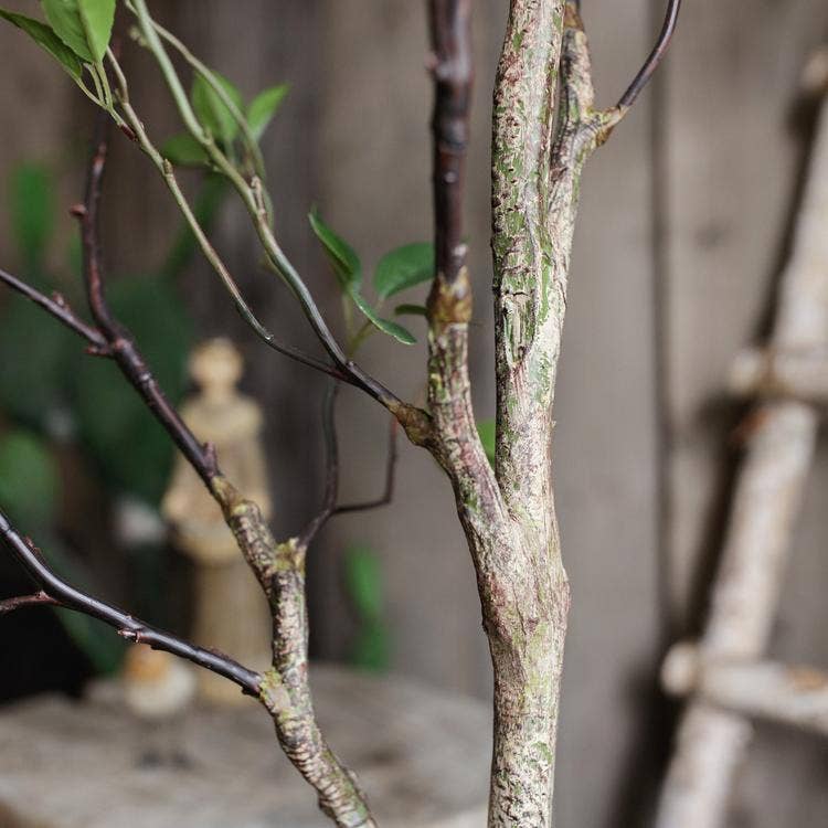 Rustic Reach - Wholesale Artificial Plant - Artificial Green Leaf Tree7