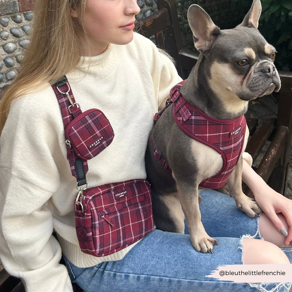 Cocopup London - Wholesale Pet Harness - Dog - Mulberry Plaid Adjustable Neck HARNESS17