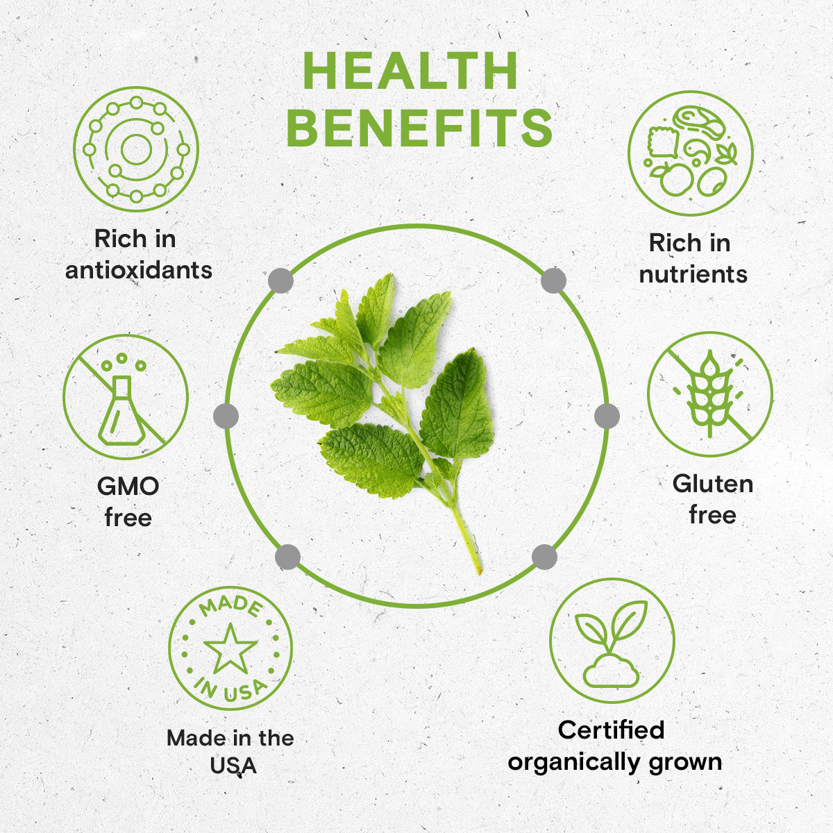 Secrets Of The Tribe – wholesale Tincture – Lemon Balm Tincture6