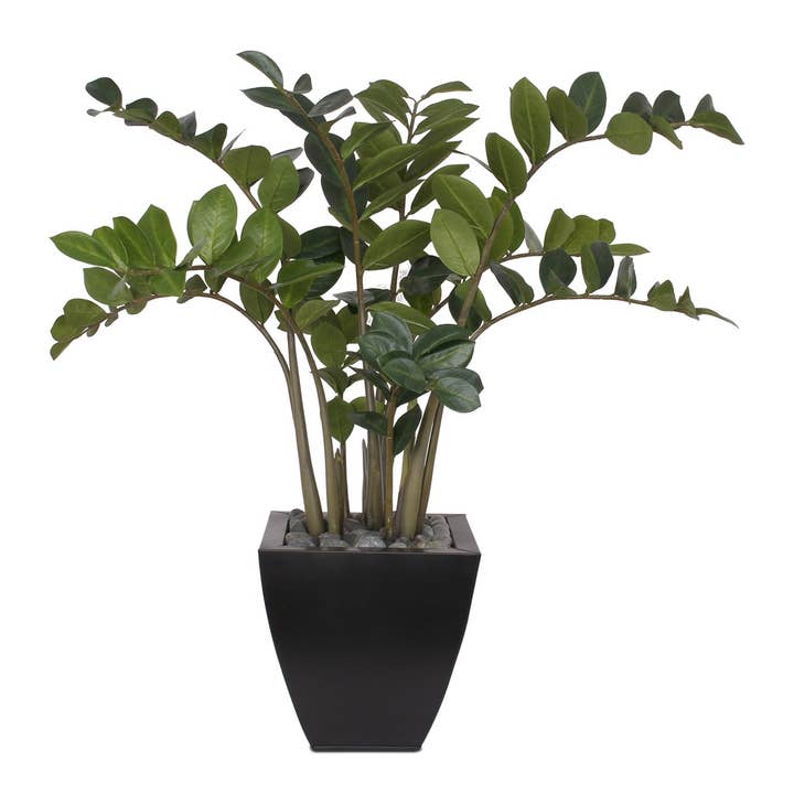 Plante ZZ 37" H avec galets noirs dans un pot moderne en zinc noir pour la vente par JENNY SILKS