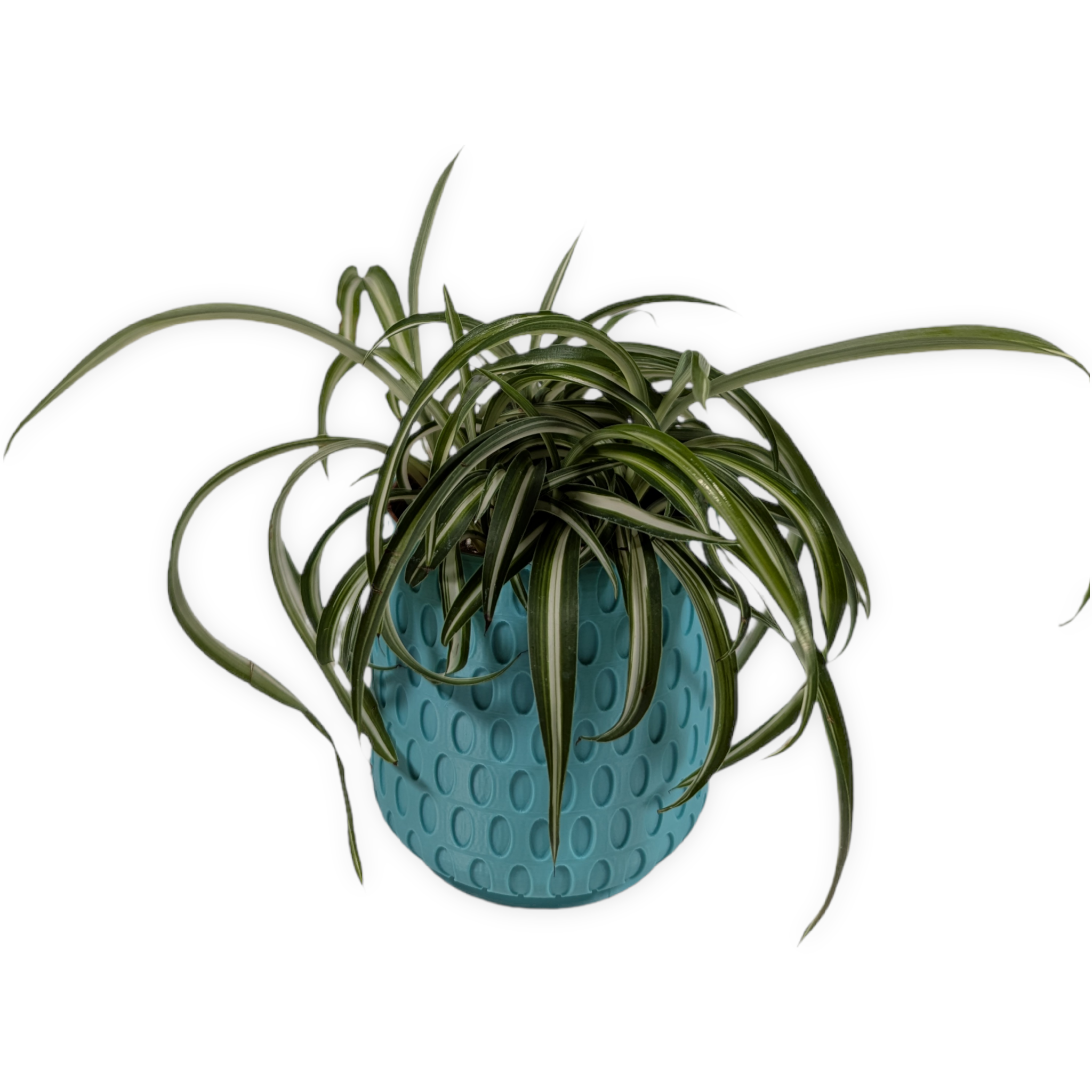 Leafprints.3d - Wholesale Plant Pot - The Bud - 4 Inch Planter with Drip Tray4