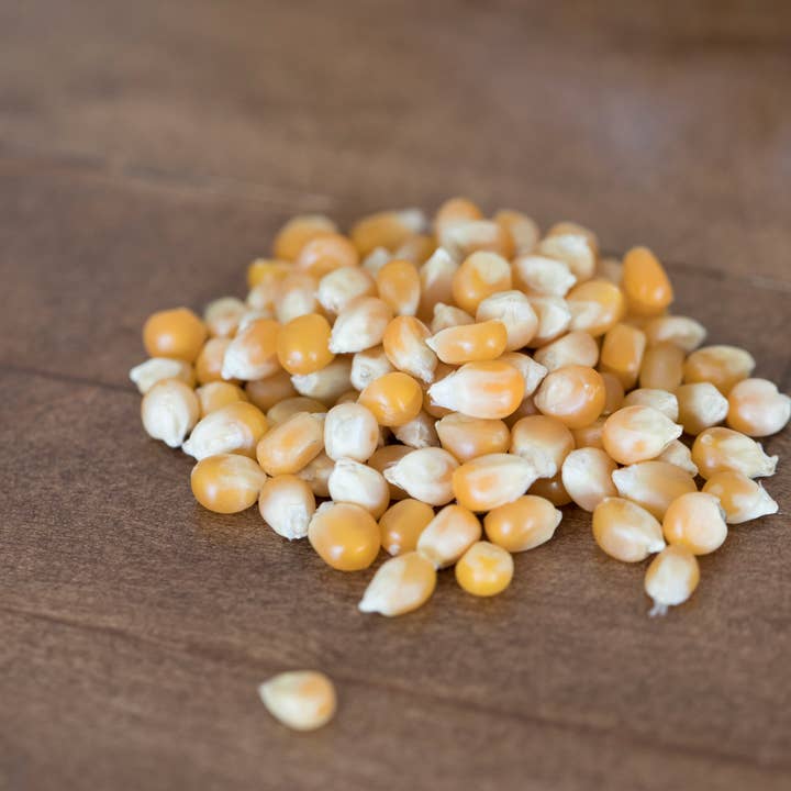 Amish Country Popcorn – wholesale Popcorn – 4oz Bag of Extra Large Caramel Popcorn