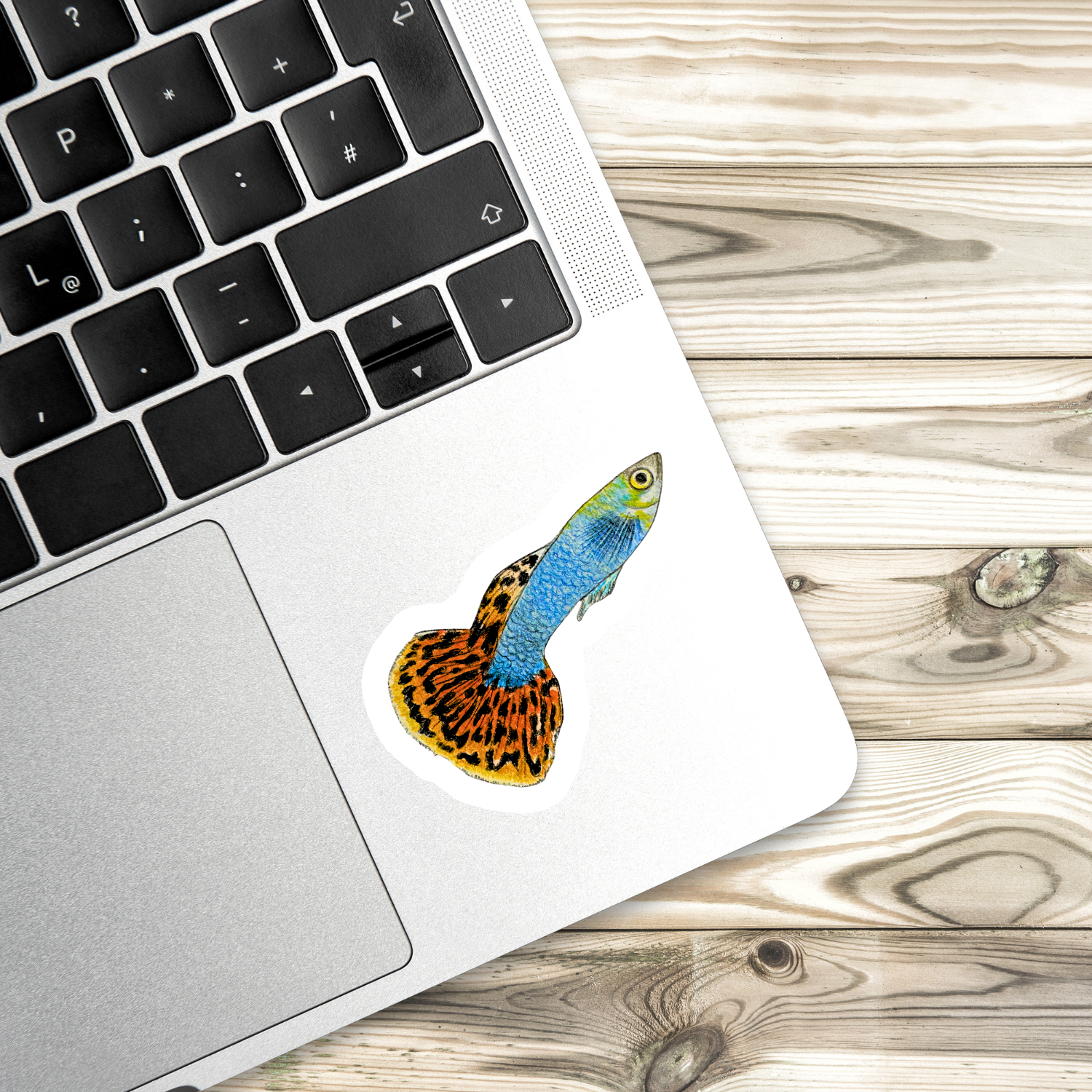 Fins and Frags - Wholesale Sticker - Handmade Guppy Sticker, for Fish & Aquarium Lovers 2