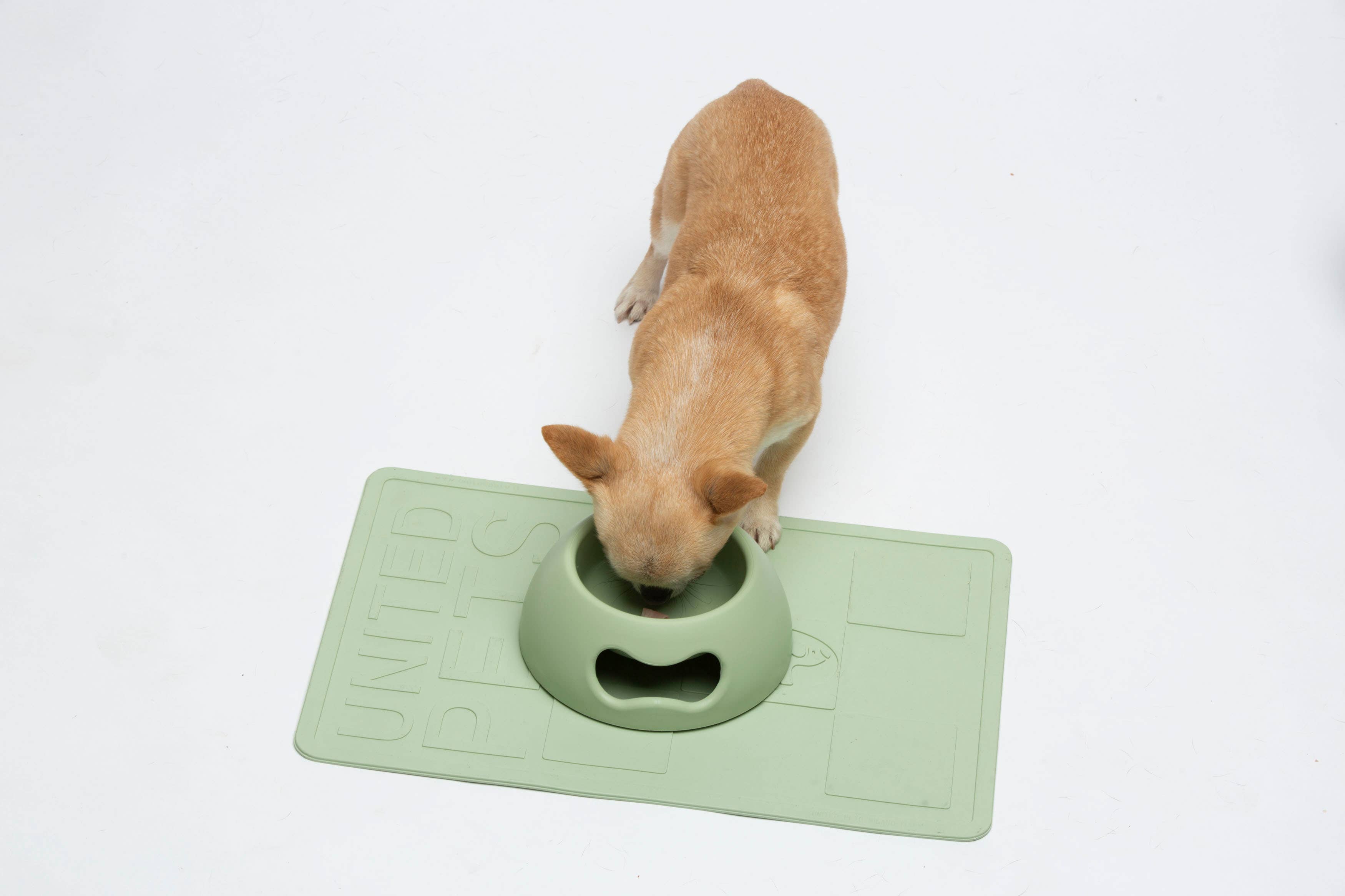 United Pets - Wholesale Pet Bowl - Cat/Dog - Indestructible eco-friendly bowl for dogs and cats - S1
