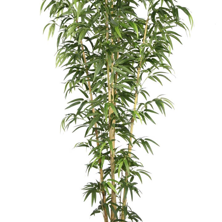 72" Tall Bamboo Tree, Natural Pls(36x36x72"H) W/Eco Planter for wholesale by Vintage Home