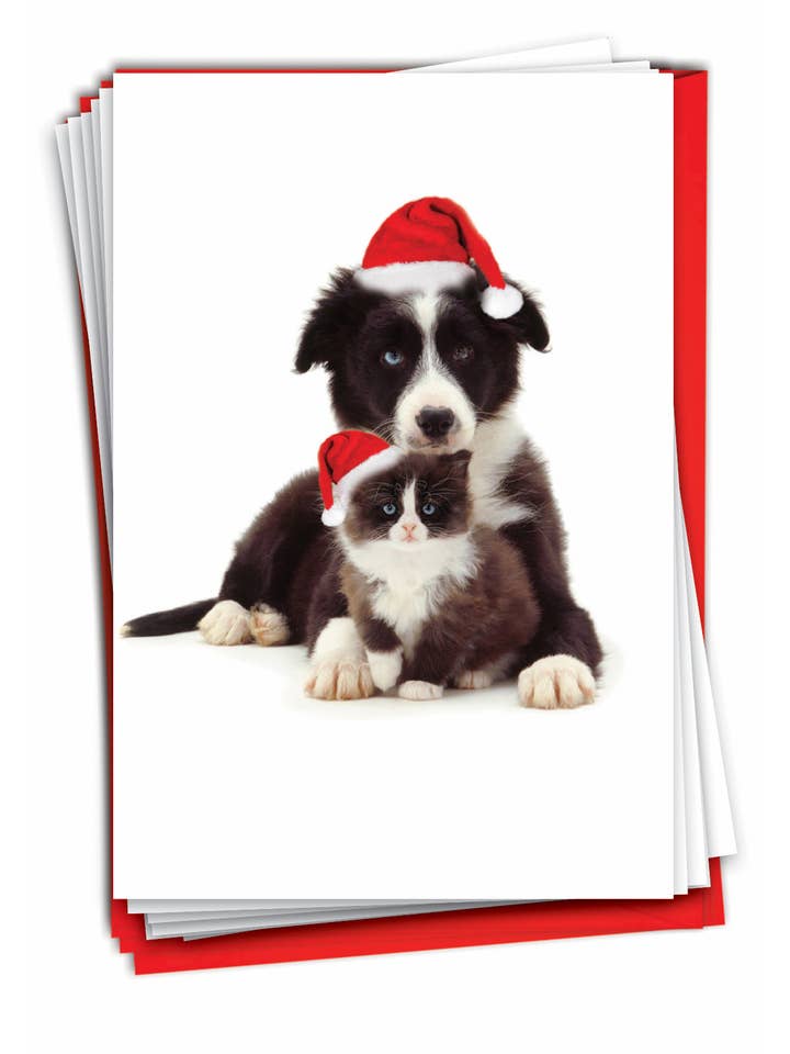 Caja de 12 tarjetas de Navidad - Copy Cats - Mejores caricaturistas para venta al por mayor de NobleWorks