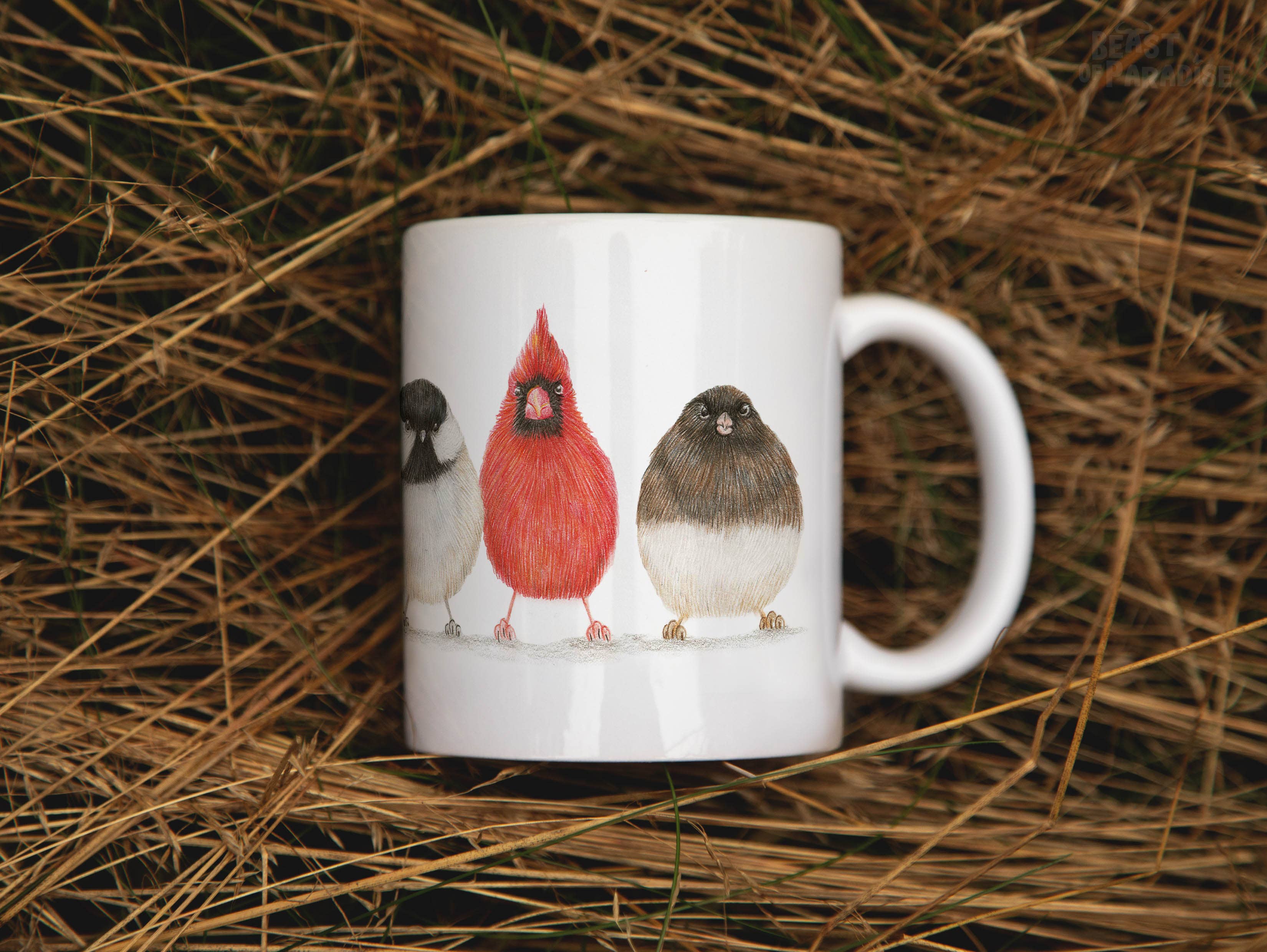 Beast of Paradise - Wholesale Coffee/Tea Cup - Ceramic Mug, North American Birds, Funny Mugs, Animal Mug6