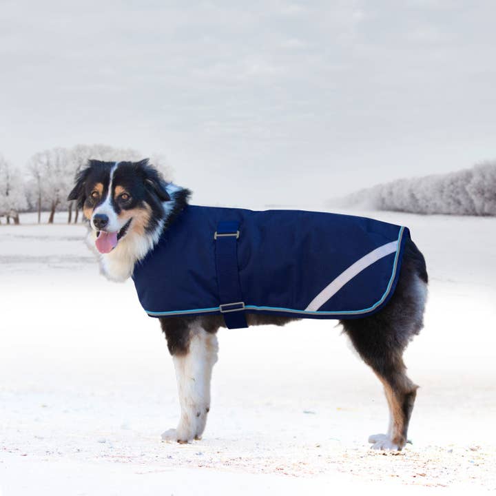 Kensington - Wholesale Pet Coat - Dog - 1200Denier "180G" Medium Weight Waterproof & Breathable Dog Coat3