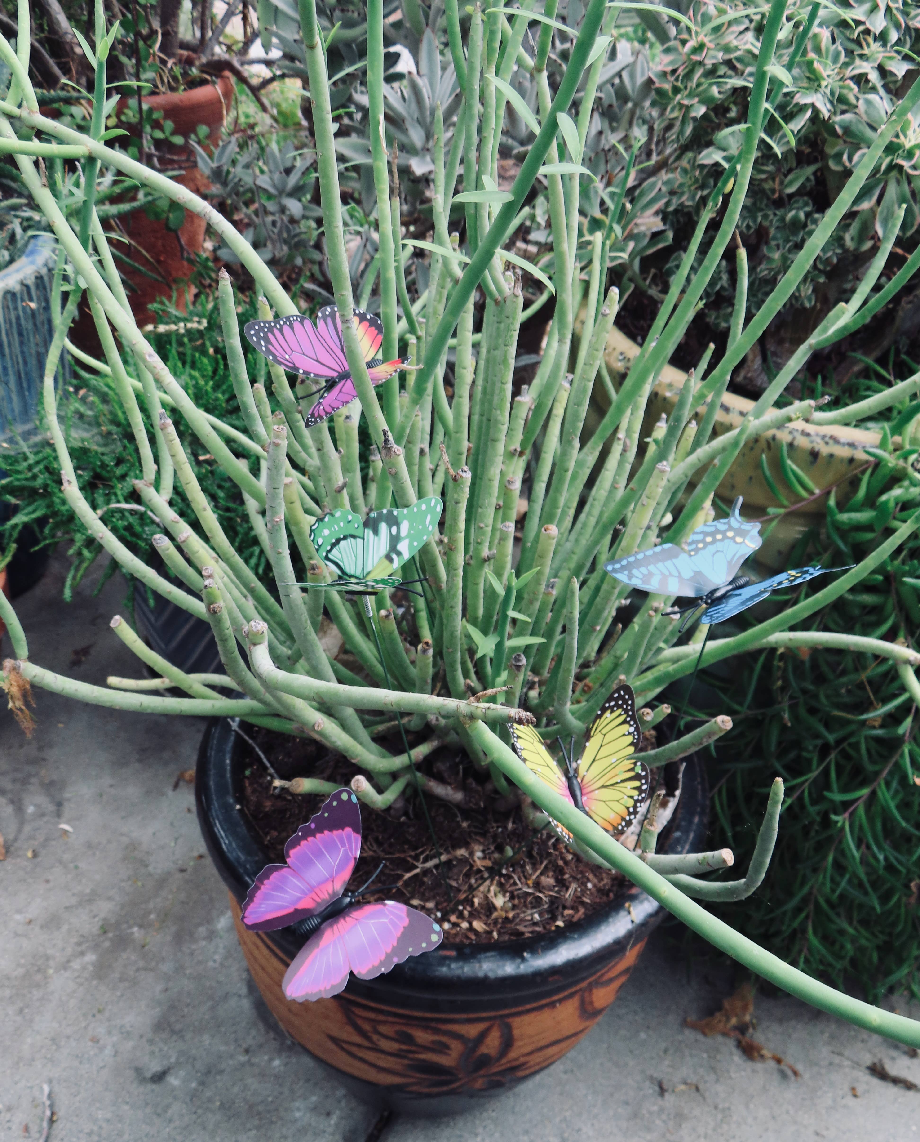 Gifts Amazing! - Wholesale Outdoor Ornament/Decor - Butterfly on Wire Stem1