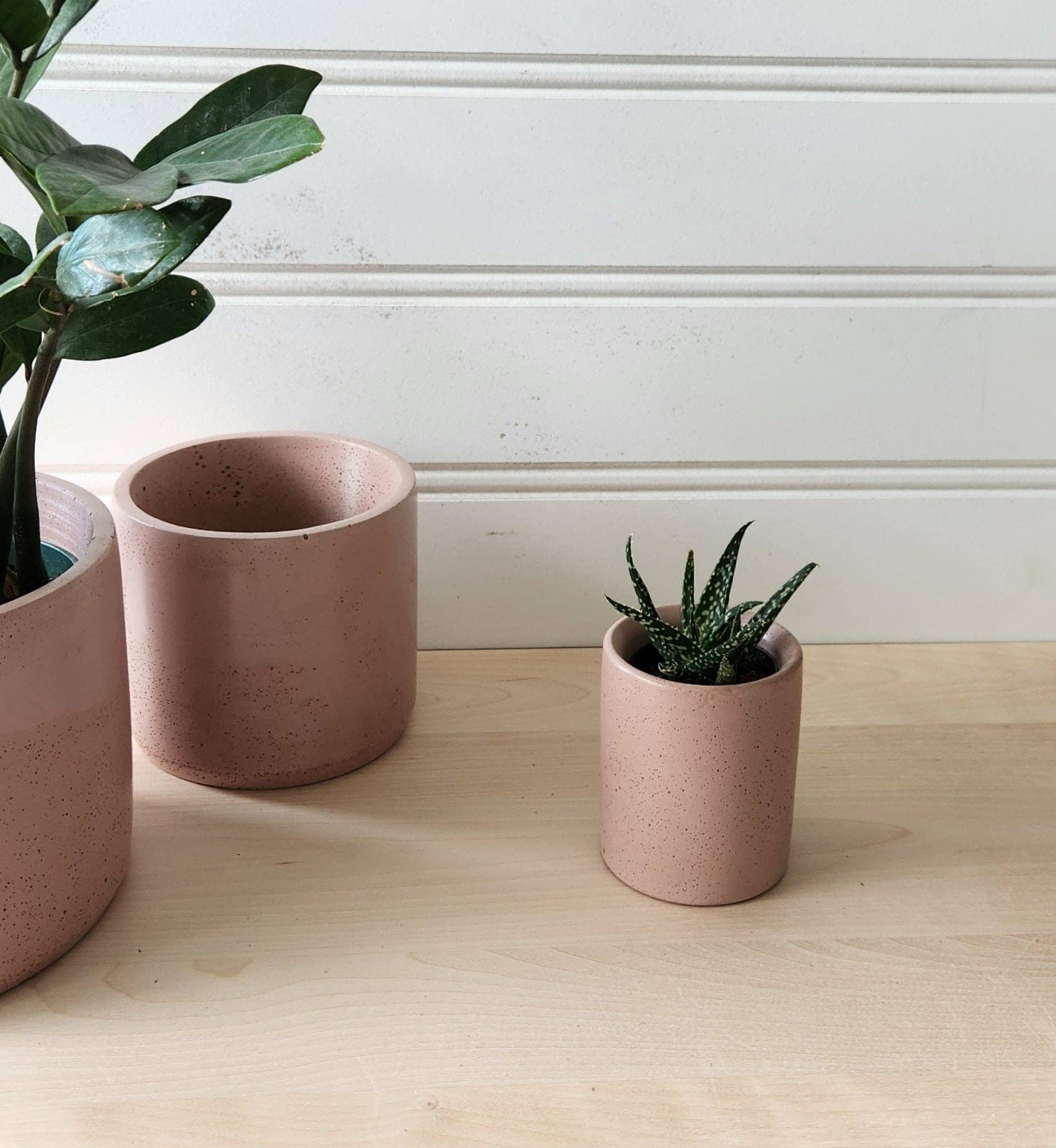 Plant 'er Here - Wholesale Plant Pot - Cylinder Planter- 3" 5" 7" Blush & Olive6