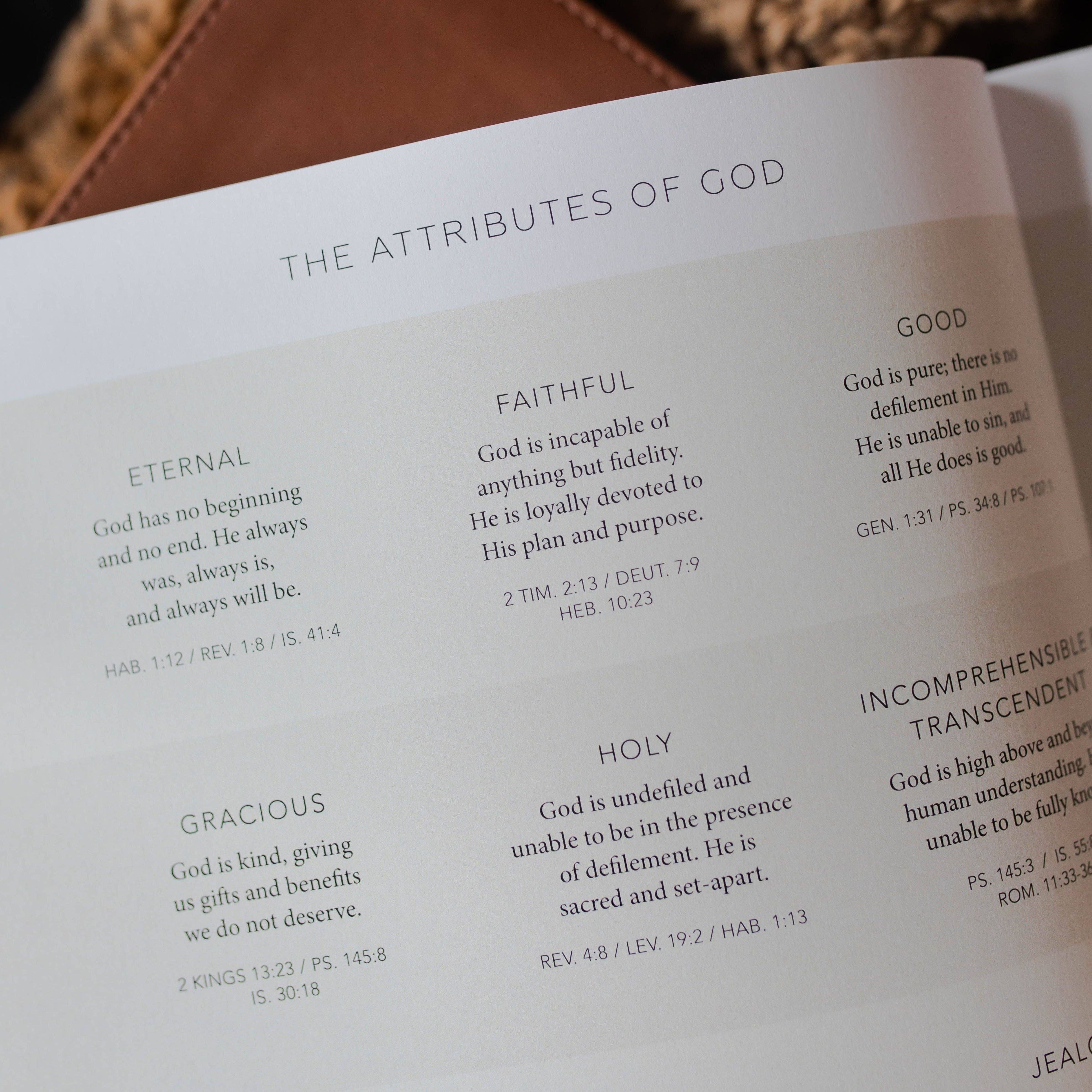 The Daily Grace Co - Wholesale Religion - Esther | Seeing God When He Is Silent4