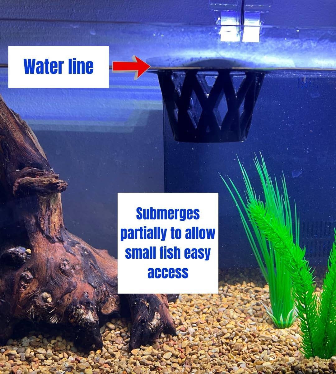 Chatelet - Wholesale Pet Bowl - Cat/Dog - Chatelet Aquarium Fish Feeding Cage | Small Fish Feed Cage | Floats at Surface & Keeps Larger Fish Out | Made in USA3