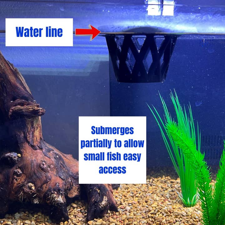 Chatelet - Wholesale Pet Bowl - Cat/Dog - Chatelet Aquarium Fish Feeding Cage | Small Fish Feed Cage | Floats at Surface & Keeps Larger Fish Out | Made in USA3