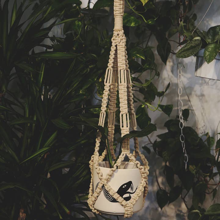 Soul of the Party - Wholesale Hanging Planter - Large Plant Hanger1