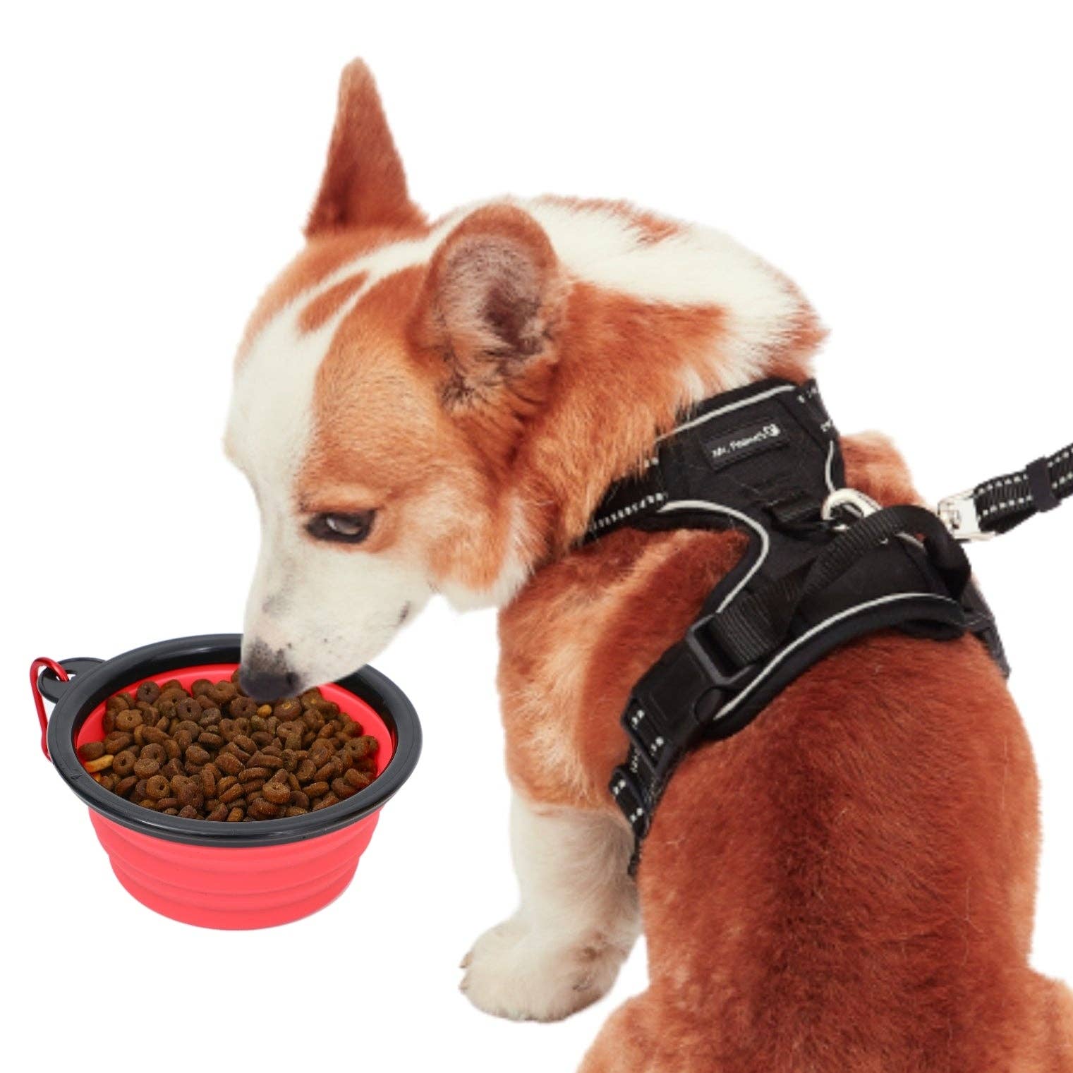 Mr. Peanut's - Wholesale Pet Bowl - Cat/Dog - Collapsible Silicone Travel Bowls - 12oz9