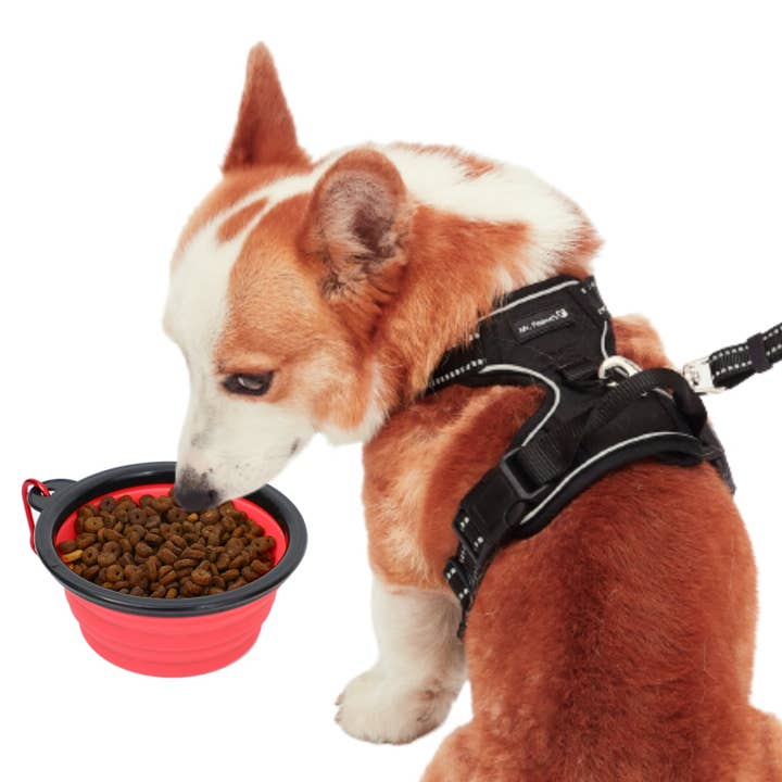 Mr. Peanut's – Engroshandel Madskål - Kat/hund – Sammenklappelige silikone rejse skåle - 12 ounce9