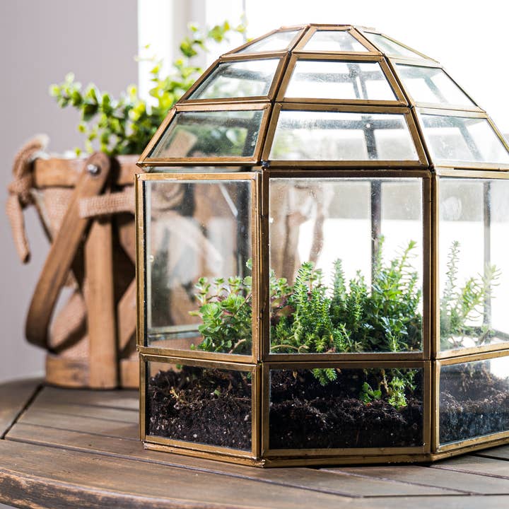 Urban Born - Wholesale Terrarium - Large Birdcage Terrarium, Glass, Metal, 10 x 9"1