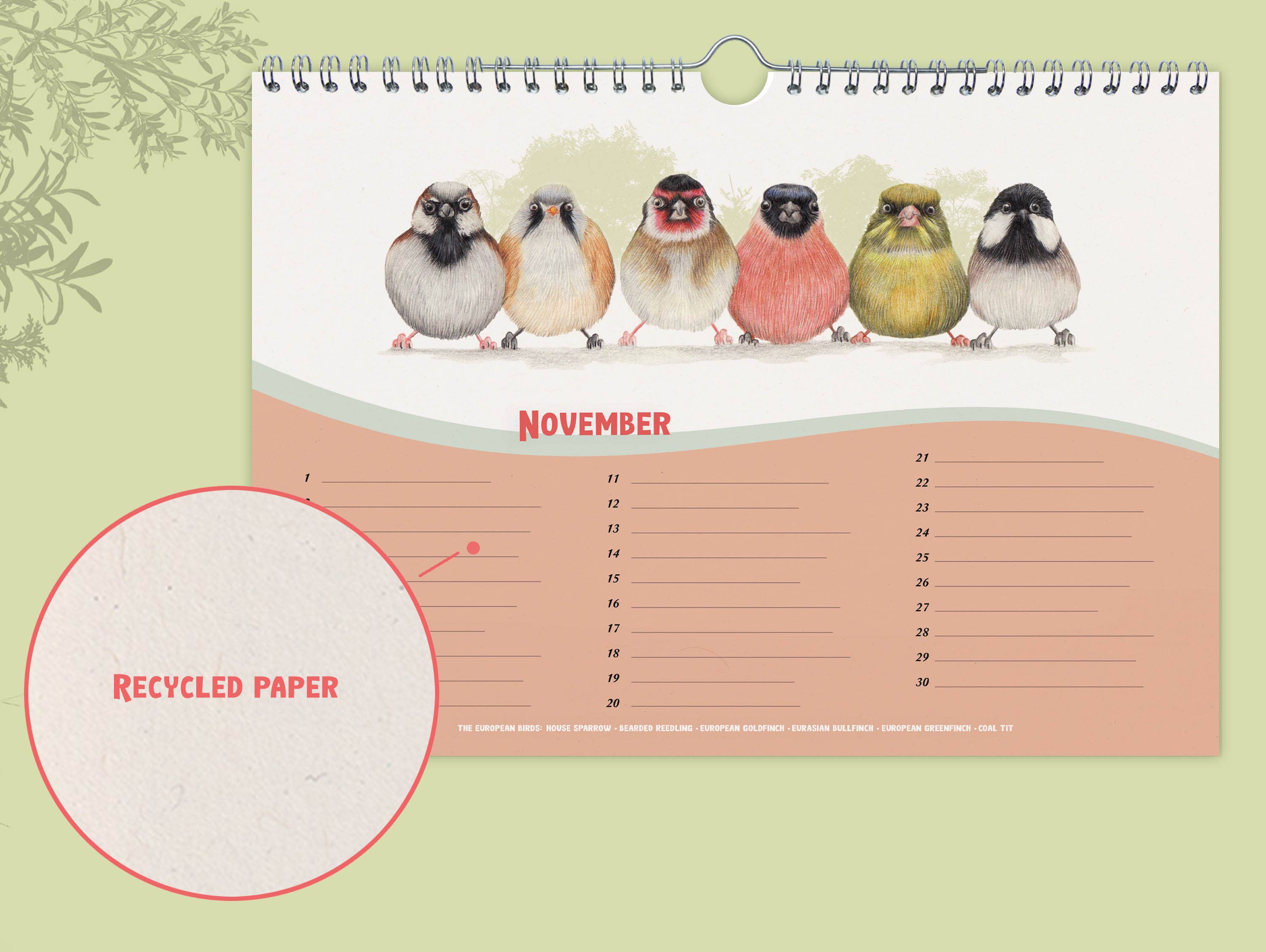 Beast of Paradise - Wholesale Calendar - Birthday Calendar, Perpetual Calendar, Bird Calendar, Animal7