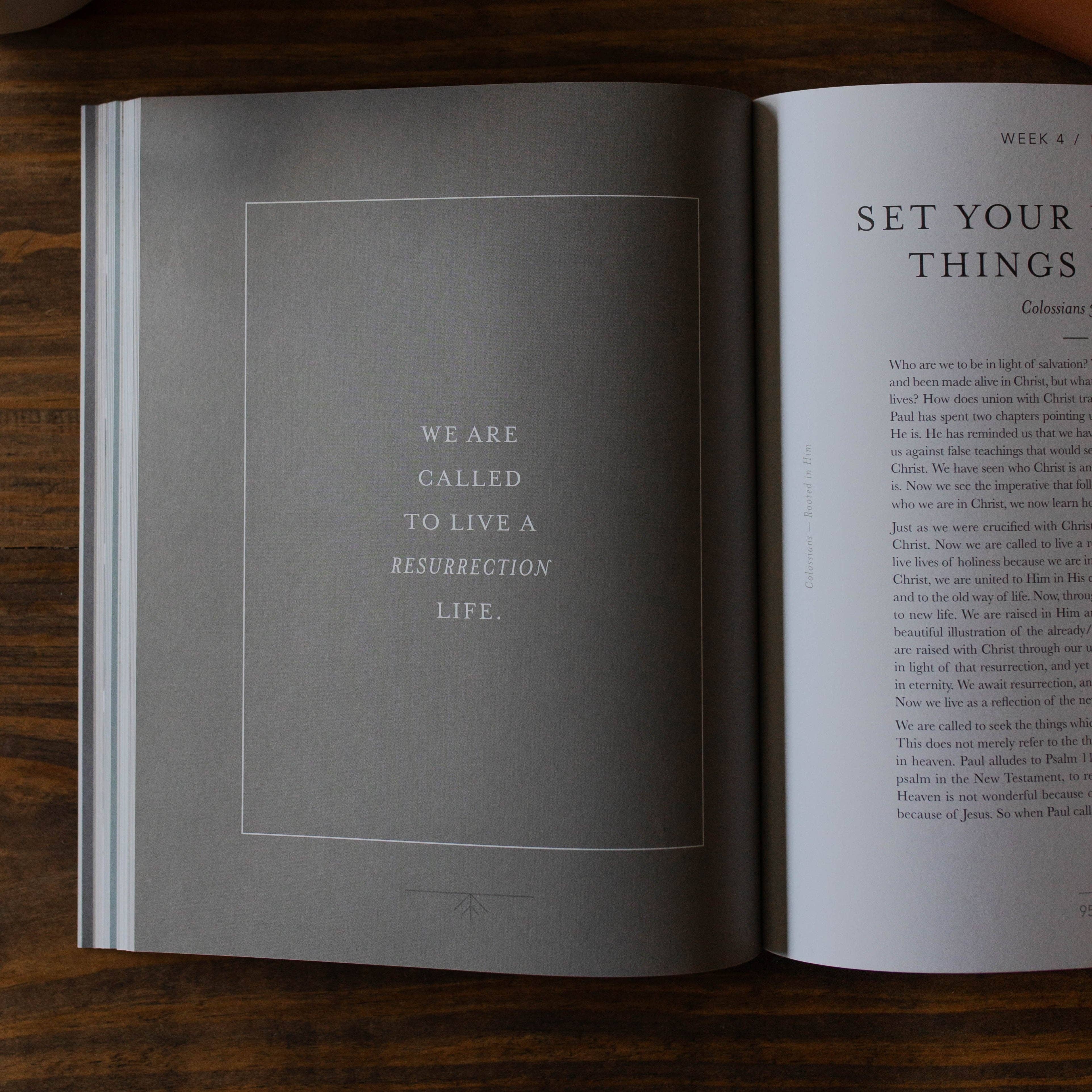 The Daily Grace Co - Vente Livre sur la religion - Colossiens | Enraciné en lui - Hommes6