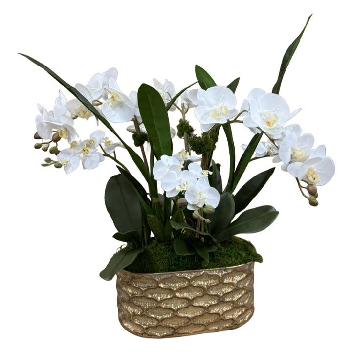 PLANTEUR D'OR PHAL pour la vente par The Ivy Guild