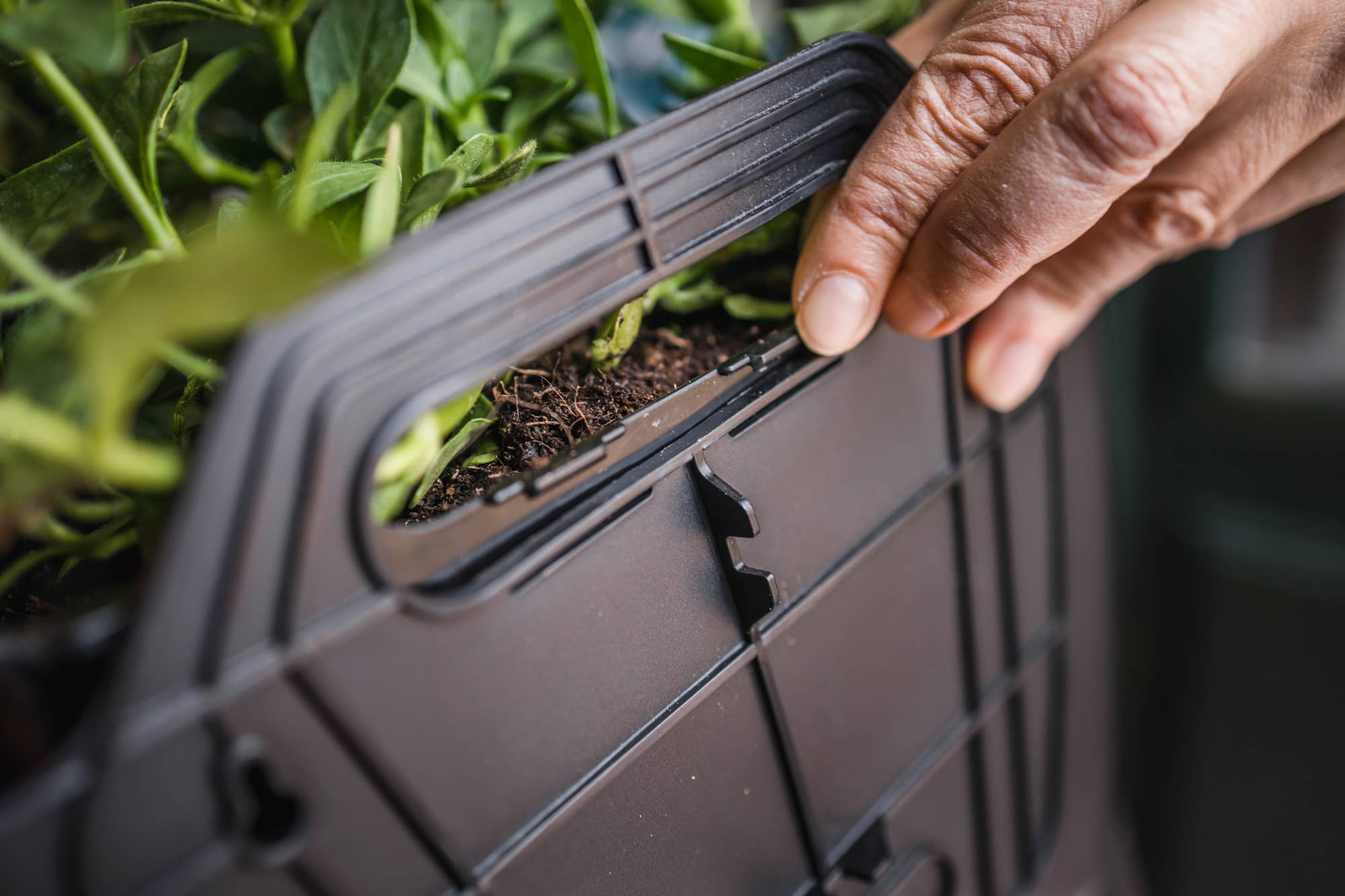 CitySens - Vente Jardinière murale - CitySens jardinières murales - lot de 3 jardinières10