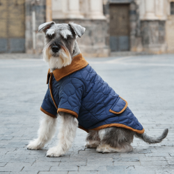 ARISTOPET - Wholesale Pet Jacket - Dog - SPENCER JACKET6