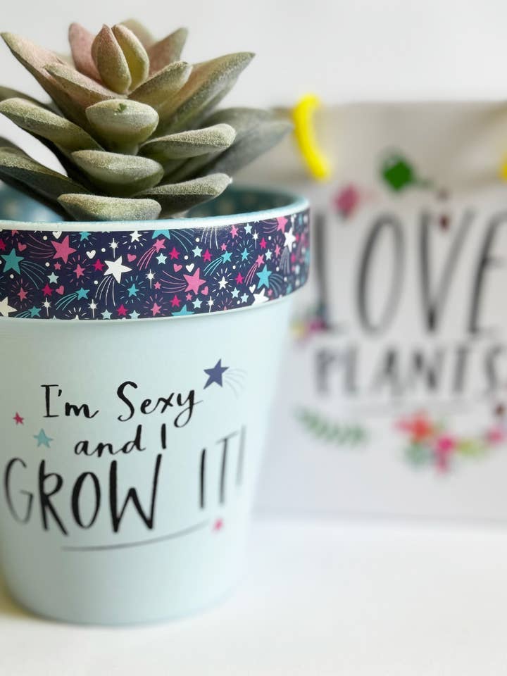 Pot007 | I'M Sexy And I Grow It. | £3.32 Each Of 2 Pie for wholesale by WPL Gifts