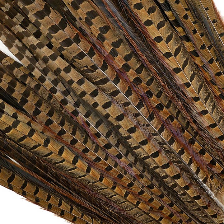 Zucker Feather Products - Wholesale Craft Supplies - 10 PC/PKG Ringneck Pheasant Tails 14-16" - Natural